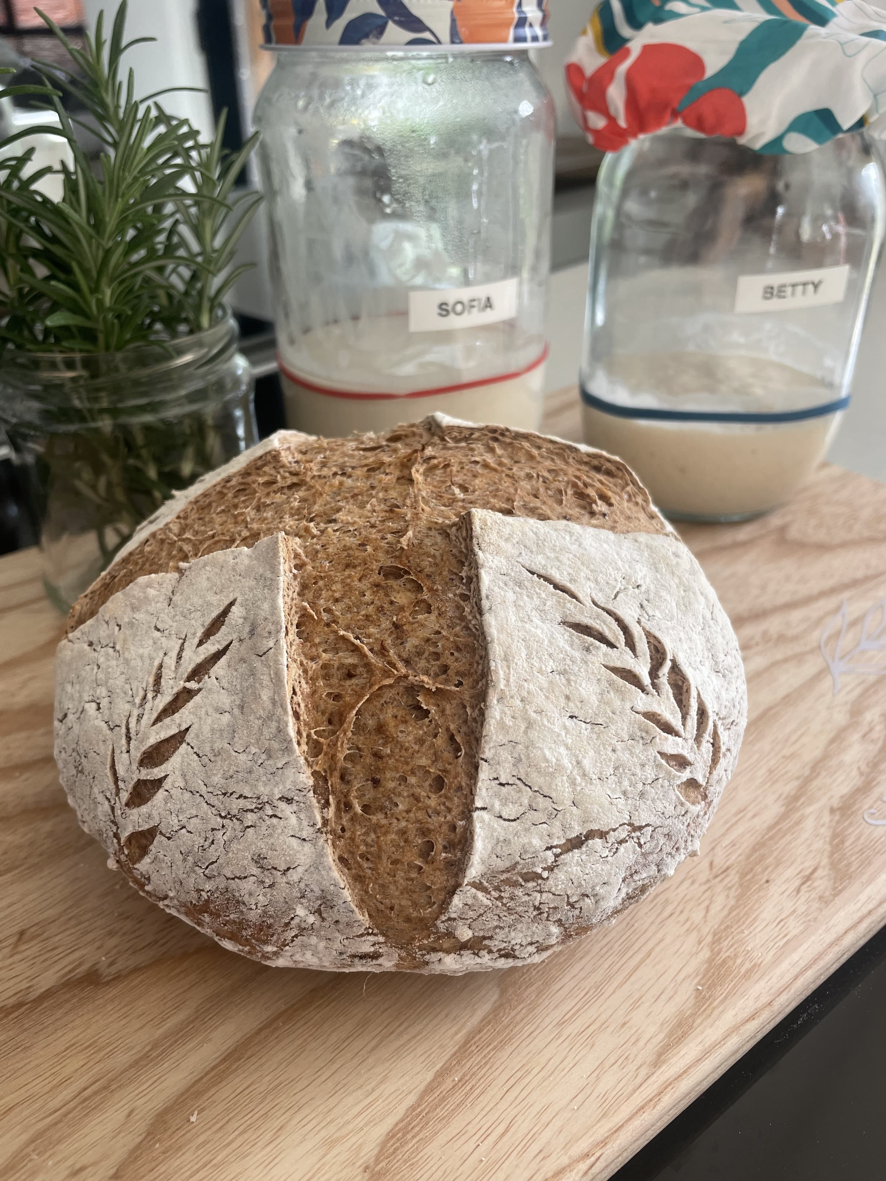 Why Gluten-Free Sourdough? A Delicious, Gut-Friendly Alternative for Every Home Baker